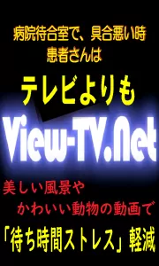VIEW-TV.net