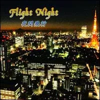 Flight Night 夜間飛行